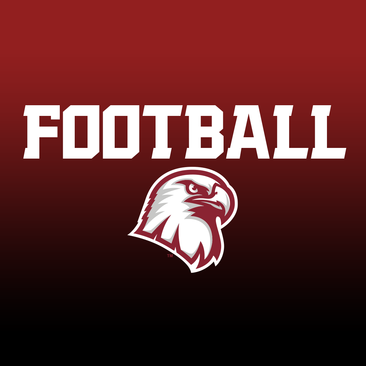 ACA Football