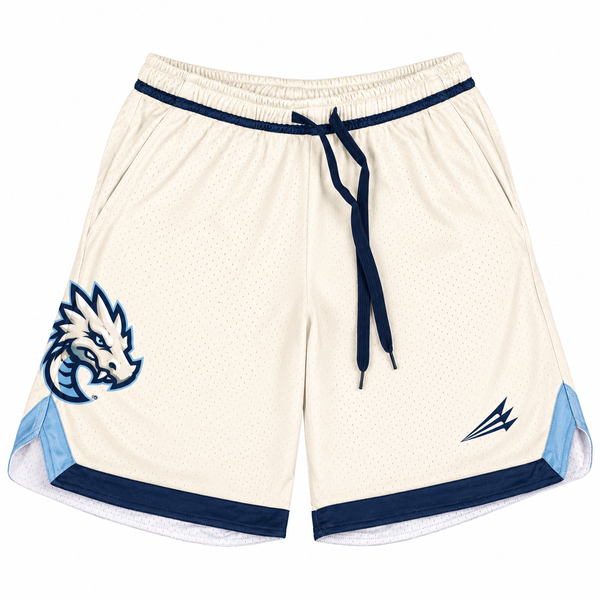Ice Dragons Custom Retro Mesh Shorts