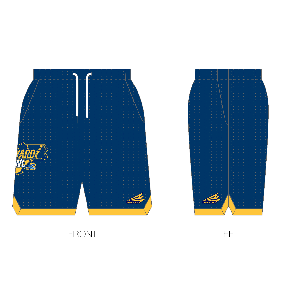 Backyard Brawl Custom Retro Mesh Shorts