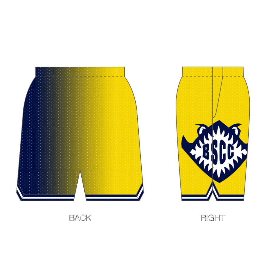 BSCC Barracudas Custom Retro Mesh Shorts