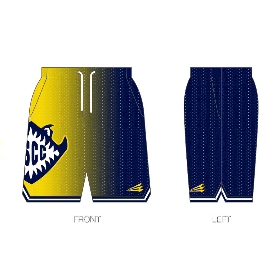 BSCC Barracudas Custom Retro Mesh Shorts